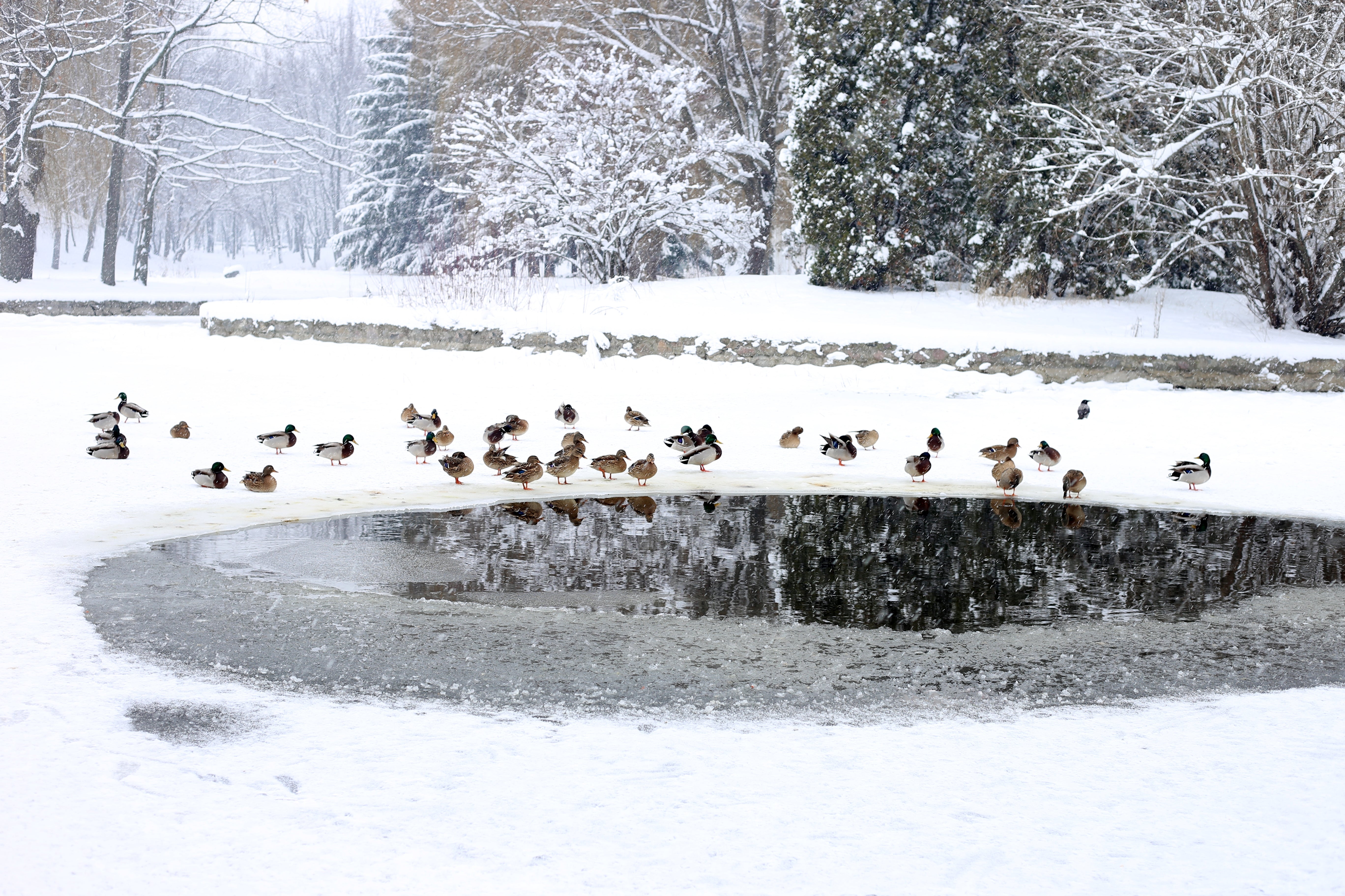 Aeration and Ice Melting Tubing by Air Aqua