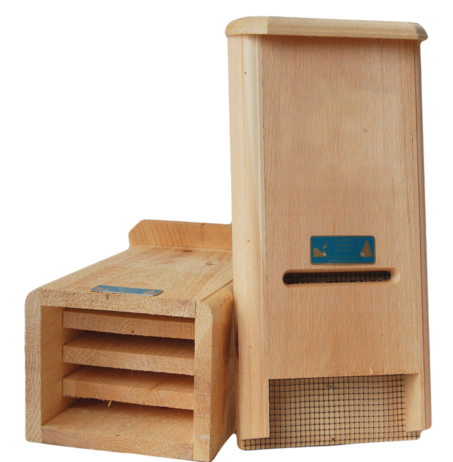 "Bat"Chelor Pad (Display)