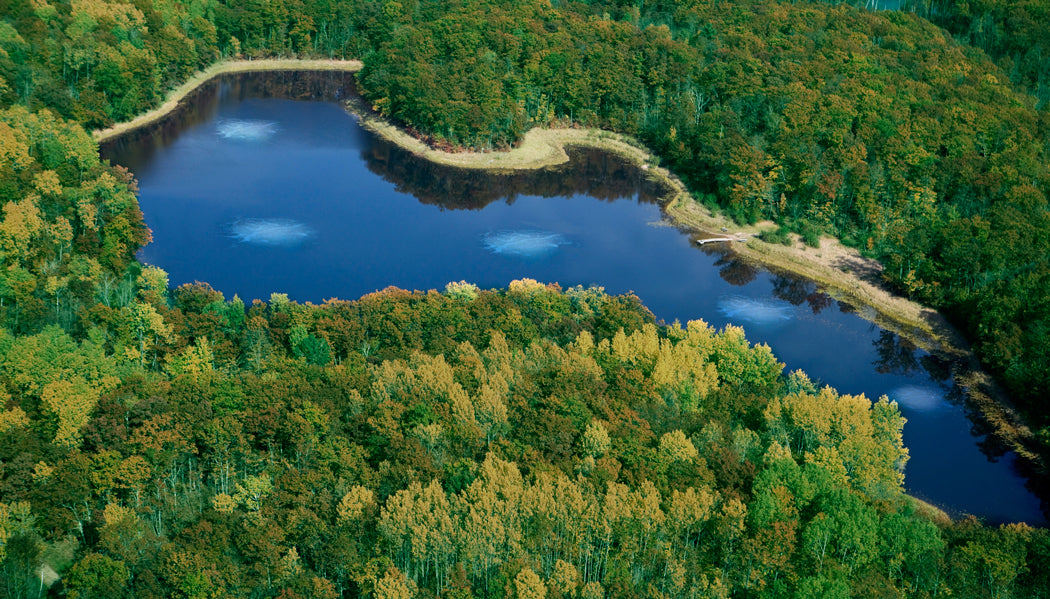Complete Pond Aeration: Large Pond & Lake Systems