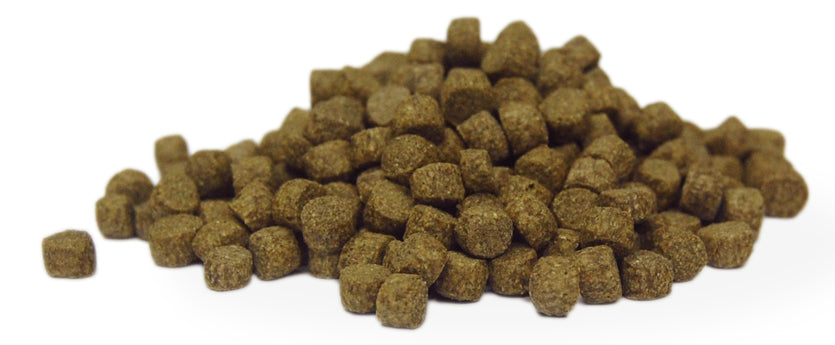 Koi Floating Fish Food