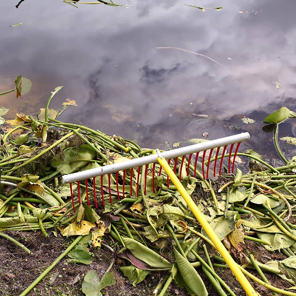Weed Raker