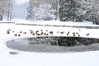 Aeration and Ice Melting Tubing by Air Aqua