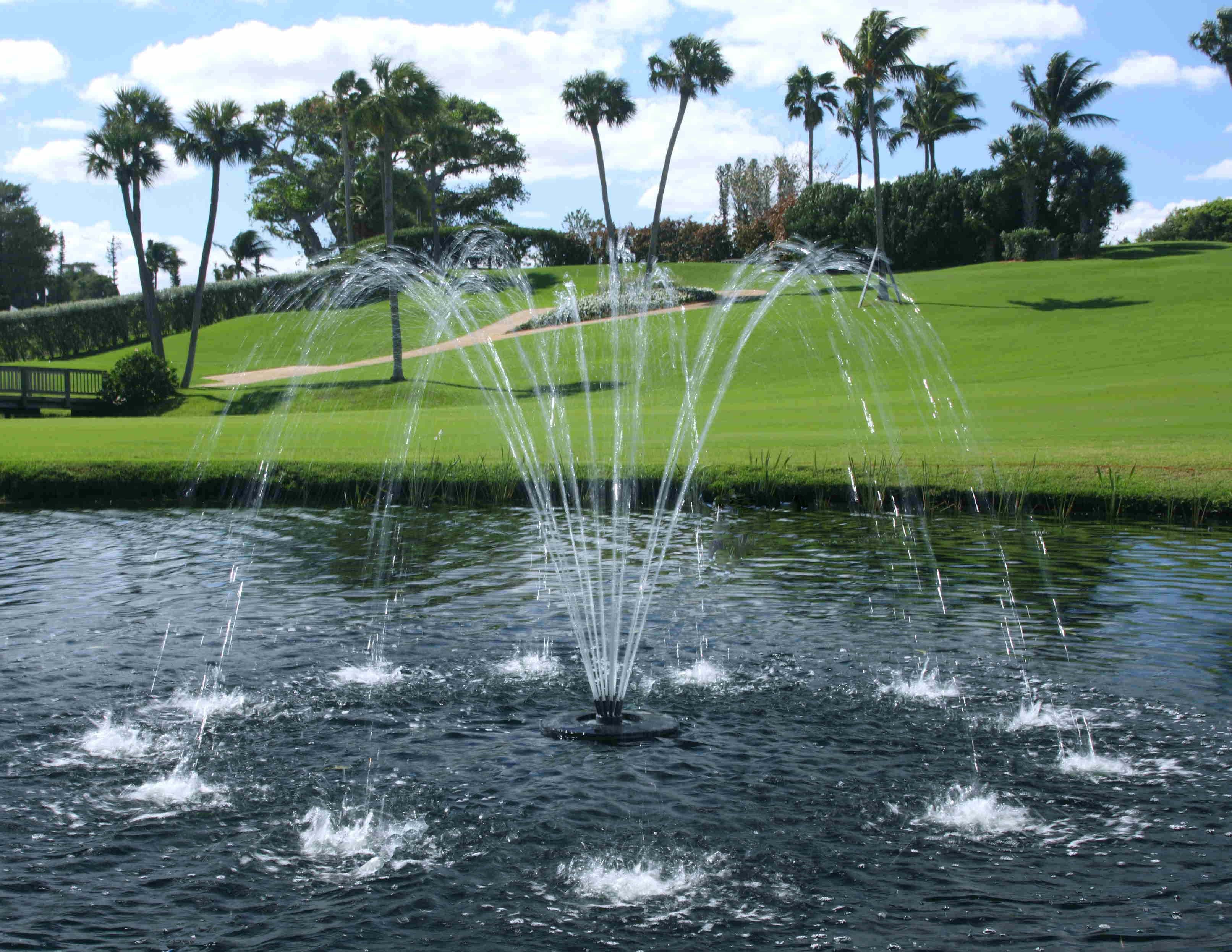 Evolution Series Fountain